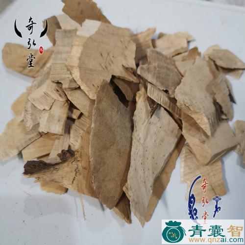 中药材巴豆树根图片