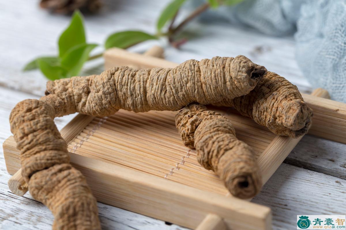 中药材巴雅杂瓦图片