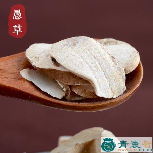 中药材巴骨龙图片