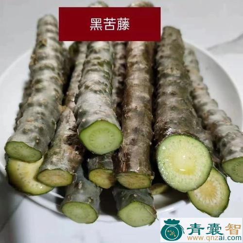带藤苦楝的性状性味归经以及功效用法和注意事项-青囊智