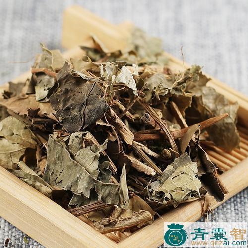 中药材常春藤叶天剑图片