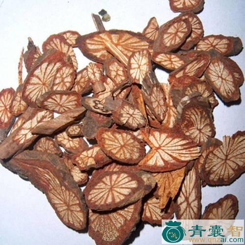 中药材常青藤图片
