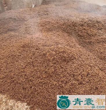 中药材干饧糟图片