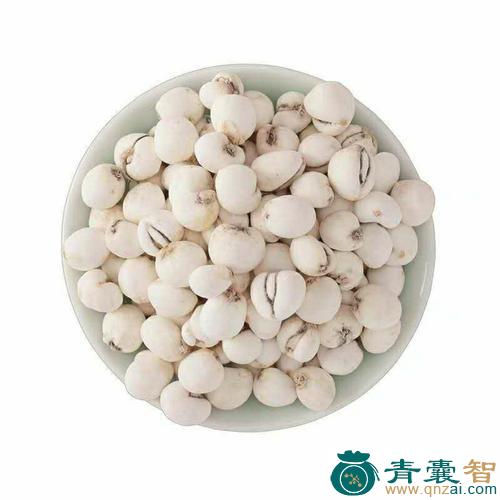 中药材平贝母图片
