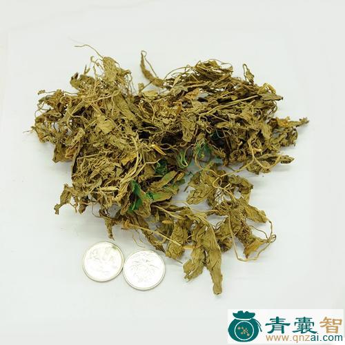 中药材广地丁图片