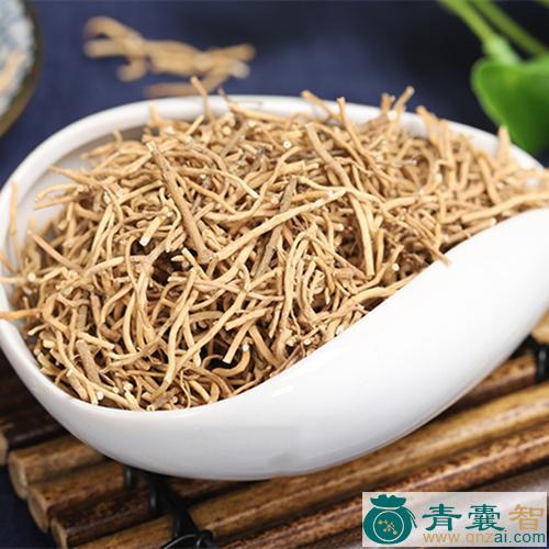 中药材广布马先蒿图片