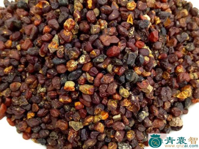 中药材广枝仁图片
