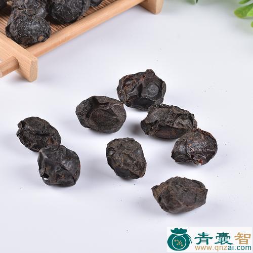 中药材广枣图片