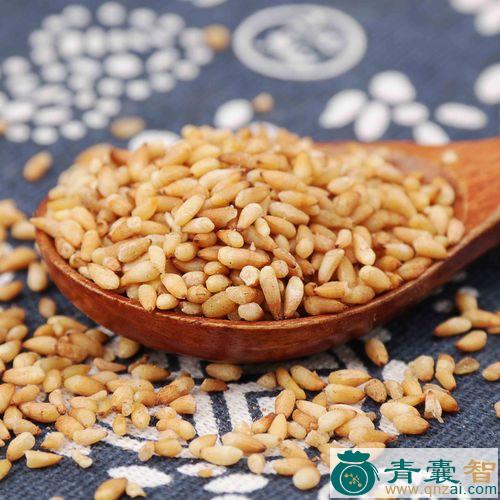 广西百仔的性状性味归经以及功效用法-青囊智