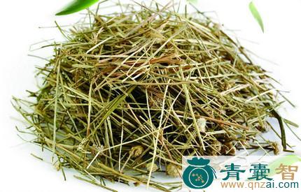 广谷草的性状性味归经以及功效用法和注意事项-青囊智