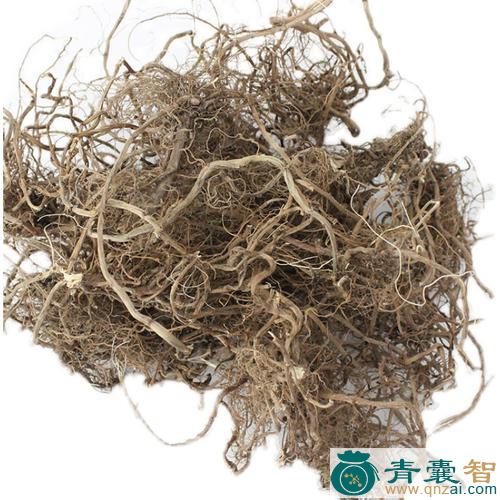 中药材度草根图片