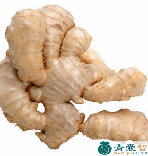 中药材廉姜图片