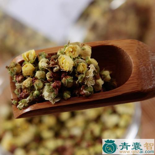 中药材建德山梅花图片