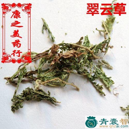 开屏凤毛的性味归经以及功效用法-青囊智