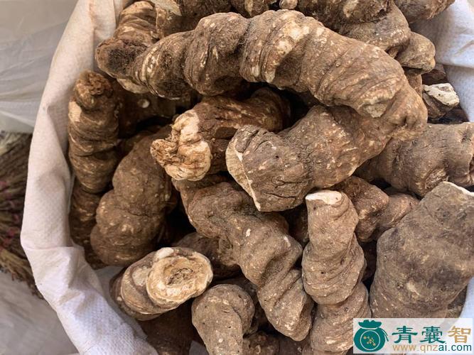 弄楼子的性状性味归经以及功效用法-青囊智