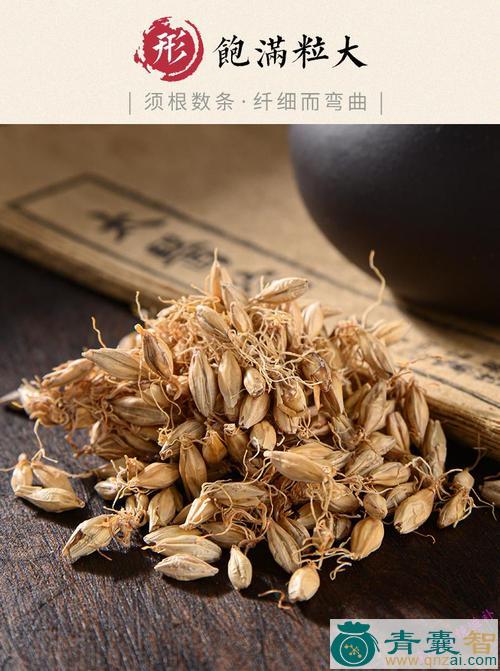 当芽的以及功效用法-青囊智