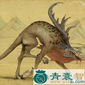 中药材彘图片