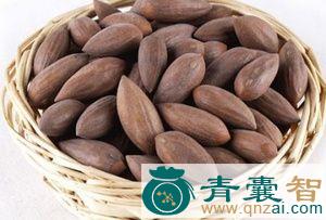 中药材彼子图片