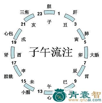 中药材循图片