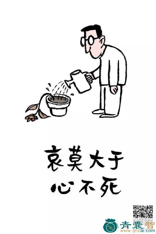 中药材心不死图片