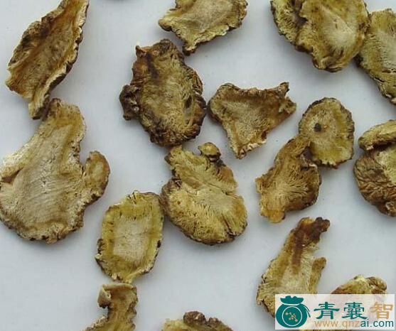 心叶大眼独活的性状性味归经以及功效用法和注意事项-青囊智