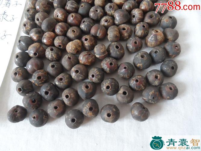 中药材必提珠图片