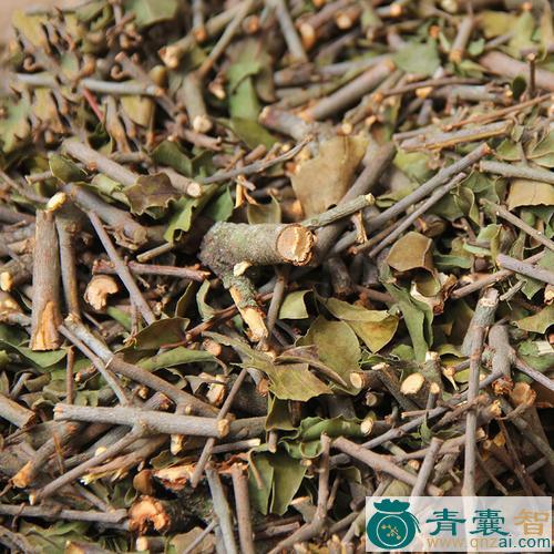 中药材忙果木寄生图片
