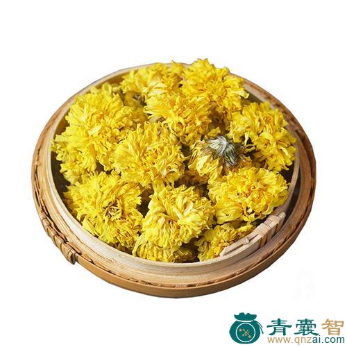中药材怀菊花图片