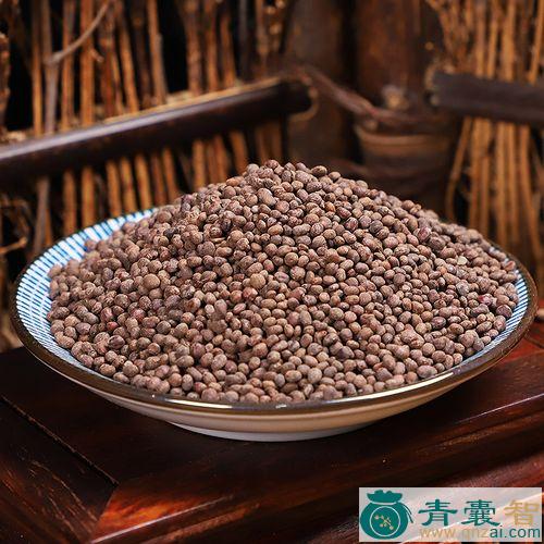 中药材急性子图片