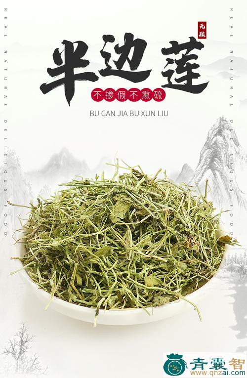 中药材急解索图片