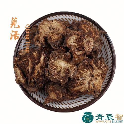 恙活的性状性味归经以及功效用法和注意事项-青囊智