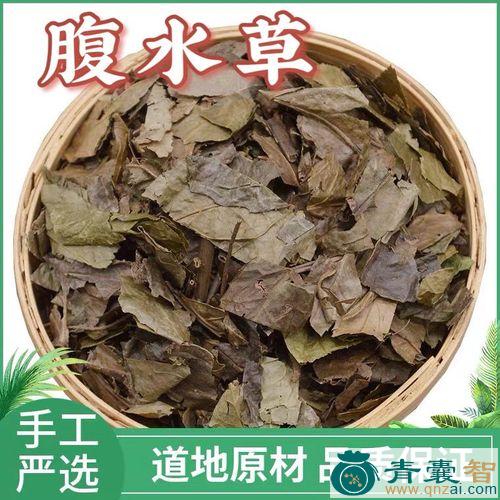 中药材惊天雷图片