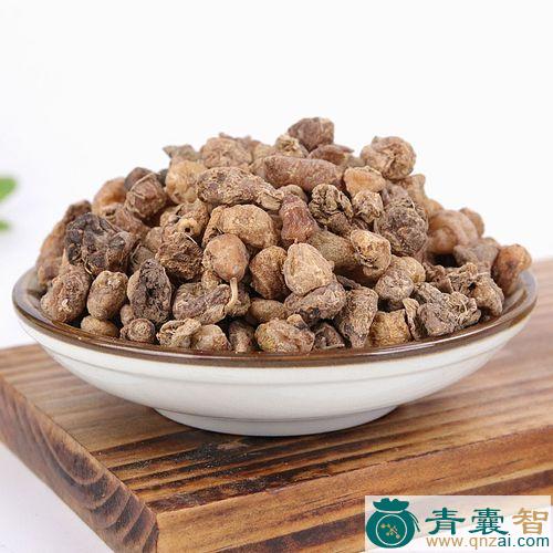 慈姑的性状性味归经以及功效用法和注意事项-青囊智