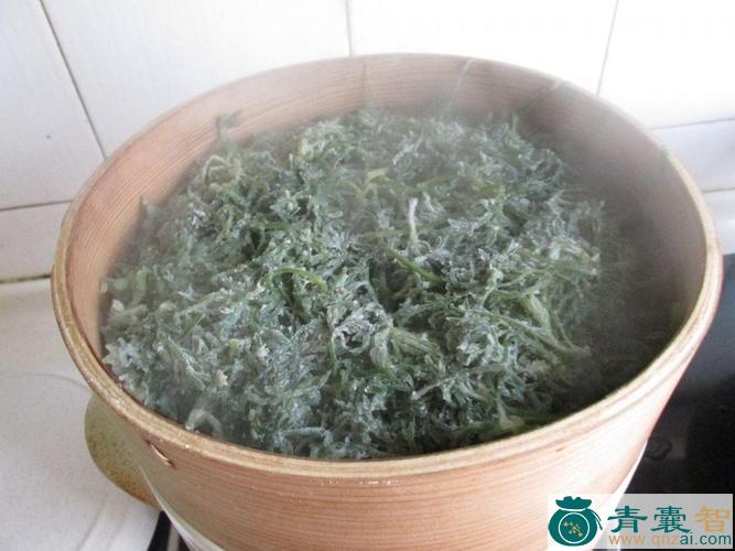 懒人菜的性味归经以及功效用法和注意事项-青囊智
