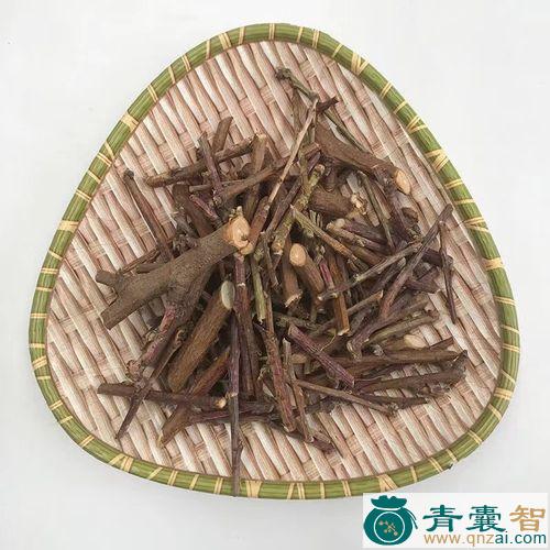 中药材扁枝子图片