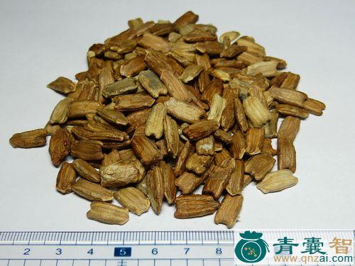 中药材扁蒲壳图片