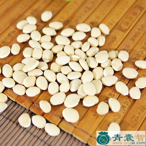 中药材扁豆子图片