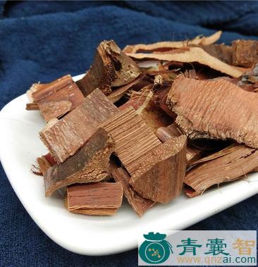 中药材扑地棕图片