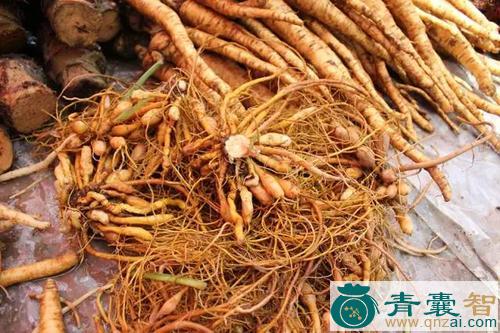 中药材打散根图片