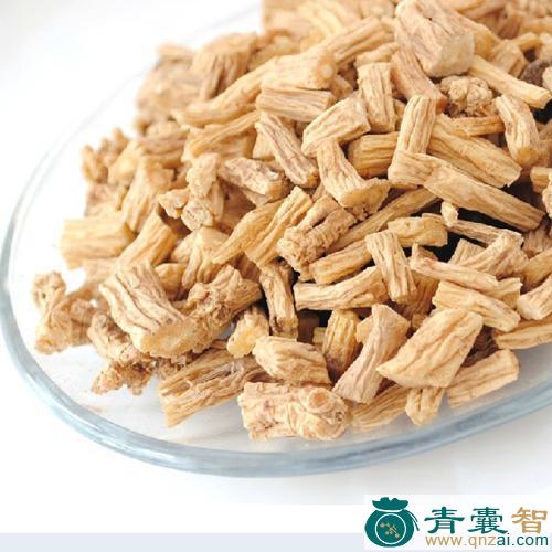 中药材托柄菇图片