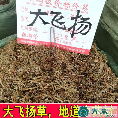 中药材扬令图片