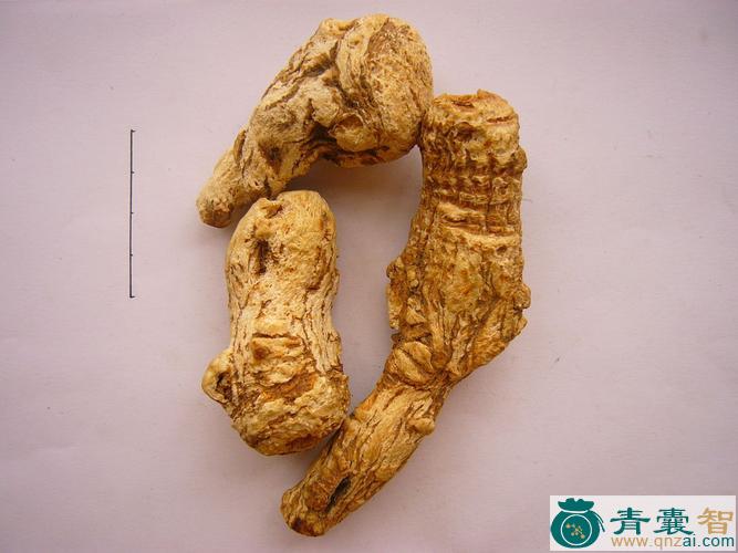 中药材抚芎图片