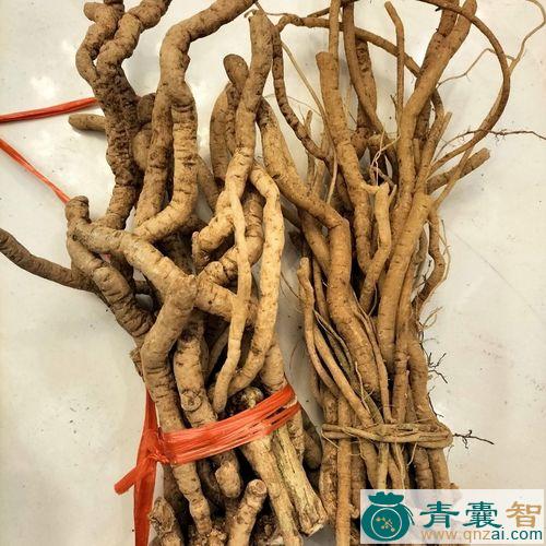 中药材抽筋散图片