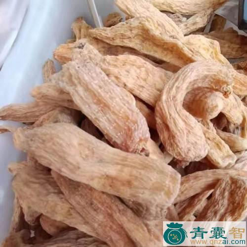 中药材拐角七图片