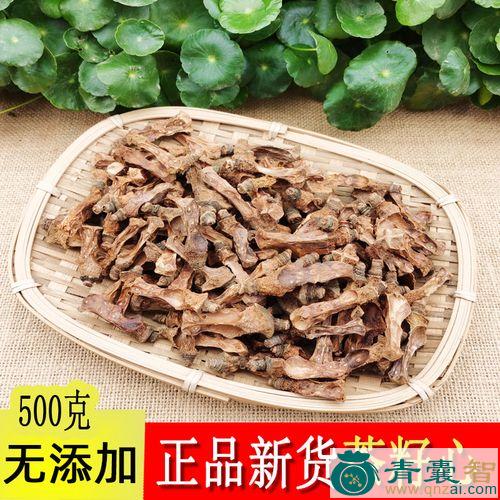 中药材拔仔心图片