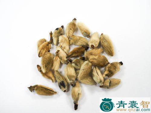 中药材拘那夷图片