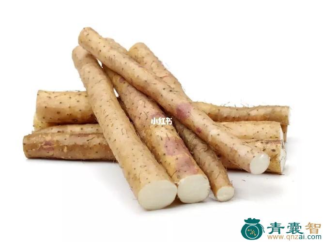 中药材指甲薯图片