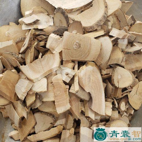 中药材按骨木图片