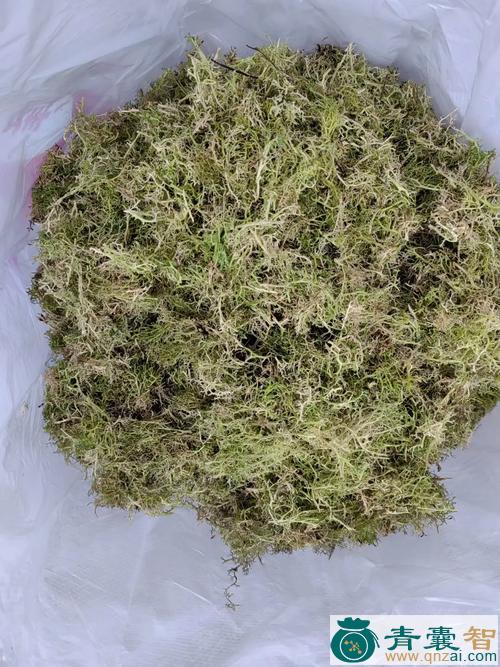 中药材挠胡子图片