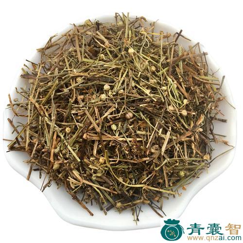 捕斗蛇草-青囊智